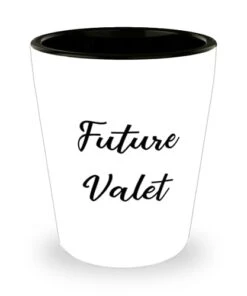 GENERIC Cool Valet Shot Glass, Future Valet, Sarcastic Gifts For Men Women From Coworkers, Birthday Gifts, Fun Gifts For Men, Gifts For Valet Drivers, Gift Ideas For Valet Parking Attendants, Valet Gift