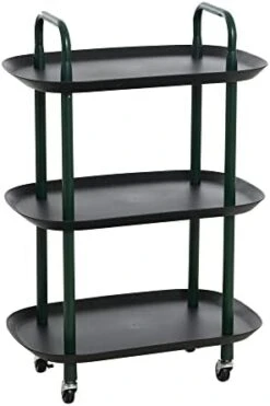 Main + Mesa Modern Plastic And Metal 2-Tier Trolley, Black And Dark Green 21 Main + Mesa Modern Plastic And Metal 2-Tier Trolley, Black And Dark Green -Songmics Furniture Shop 3175CjzOqBL. AC