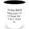 GENERIC Fancy Valet Shot Glass, I Hate Being Sexy But I'm A Valet So I Can't, Funny Gifts For Men Women From Colleagues, Birthday Gifts, Funny Valet Shot Glass Gift, Funny Valet Shot Glass Gifts, Funny Valet
