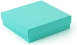 TheDisplayGuys 25-Pack #33 Cotton Filled Cardboard Paper Jewelry Box Gift Case - Matte White (3 1/2" X 3 1/2" X 1") -Songmics Furniture Shop 31m5nOXNLyL. AC