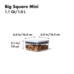 OXO GG POP CONTAINER - BIG SQUARE MINI 1.1 QT 17 OXO GG POP CONTAINER - BIG SQUARE MINI 1.1 QT -Songmics Furniture Shop 31tBOkAeZ5S