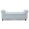Christopher Knight Home Keiko Fabric Armed Storage Bench, 19.75"D X 50"W X 20.5"H, Light Sky