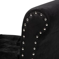 Baxton Studio 194-11956-AMZ Benches & Banquettes, Black -Songmics Furniture Shop 411K9D54vFL