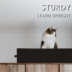 QINSAWAKA Underbed Storage Containers Under Bed Storage Drawer Organizer With Sturdy Structure For Clothes, Blankets, Shoes, Three-side Open Chunky Zippers Firm Sides & Bottom 2 Pack, Black -Songmics Furniture Shop 41CtxMUGtJS