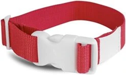 All-Star All Star Laundry Strap - 12 Pack (Orange) -Songmics Furniture Shop 41CyKhW6SHL. AC