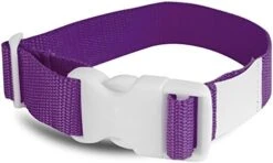 All-Star All Star Laundry Strap - 12 Pack (Orange) -Songmics Furniture Shop 41FQoVnvItL. AC