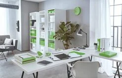 Leitz 61090054 Medium Storage Cube, Click And Store, Wow Range, Green -Songmics Furniture Shop 41GLEF6JWPL