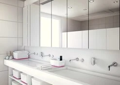 Leitz Small MyBox With Lid, Storage Box For Home And Office, High Gloss Plastic, 5 Litre, A5, White/Pink Metallic -Songmics Furniture Shop 41IfqaNPUkL