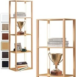 FENLO Fancy - 64" Display Shelf With Lights, LED Shelf Floor Lamps For Living Room, Sturdy Corner Shelf Curio Cabinet Display, Tall Floor Lamps With Shelves, 3 Level Brightness LED, Black -Songmics Furniture Shop 41KQXOQ 3bL. AC