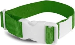 All-Star All Star Laundry Strap - 12 Pack (Orange) -Songmics Furniture Shop 41MaU6p2tdL. AC