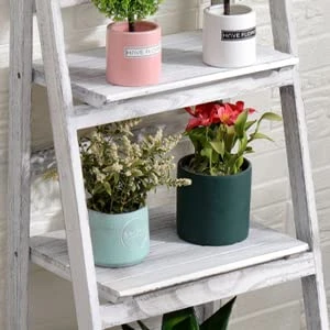 ECOMEX Foldable Plant Shelf, Ladder Shelf, Indoor Plant Stand, Ladder Bookshelf, Wood Rustic Ladder Shelf For Patio Garden Home Living Room(White) 6 ECOMEX Foldable Plant Shelf, Ladder Shelf, Indoor Plant Stand, Ladder Bookshelf, Wood Rustic Ladder Shelf For Patio Garden Home Living Room(White) - Image 6
