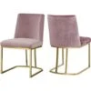 Meridian Furniture Heidi Collection Modern | Contemporary Velvet Upholstered Dining Chair With Polished Gold Metal Frame, Set Of 2, 19" W X 23" D X 32" H, Pink