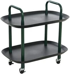 Main + Mesa Modern Plastic And Metal 2-Tier Trolley, Black And Dark Green 22 Main + Mesa Modern Plastic And Metal 2-Tier Trolley, Black And Dark Green -Songmics Furniture Shop 41boPkbM51L. AC
