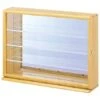 Nakabayashi Co., Ltd. Collection Case Wide - Clear Type Natural Wood