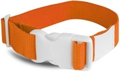 All-Star All Star Laundry Strap - 12 Pack (Orange)