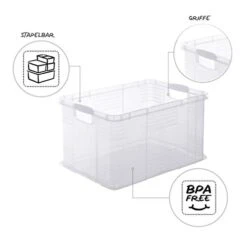Rotho, Agilo, Storage Box 55 L, Plastic (PP) BPA-free, Transparent, A3/55l (59,0 X 39,0 X 31,0 Cm) -Songmics Furniture Shop 41jnrT99AAL