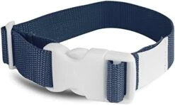 All-Star All Star Laundry Strap - 12 Pack (Orange) -Songmics Furniture Shop 41nIhLMsUkL. AC