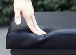 Finnhomy Entryway Shoe Rack With Cushioned Seat, 2 Shelves Storage Bench W/Faux Leather Top Bed Bench, Black -Songmics Furniture Shop 41pl0Z4mJfL