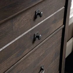 Sauder Carson Forge 4-Drawer Chest, Coffee Oak Finish
