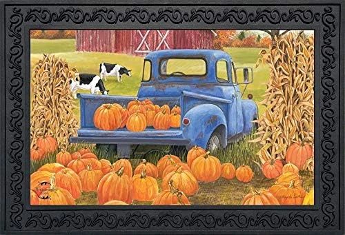 Briarwood Lane America The Beautiful Summer Doormat Patriotic Floral Indoor Outdoor 30" X 18" 14 Briarwood Lane America The Beautiful Summer Doormat Patriotic Floral Indoor Outdoor 30" X 18" - Image 14