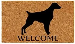 Calloway Mills AZ105581729 Boxer Doormat, 17" X 29", Natural/Black -Songmics Furniture Shop 51BDcTM8ZDL. AC 1