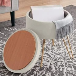 Ornavo Home Modern Round Velvet Storage Ottoman Foot Rest Vanity Stool/Seat With Gold Metal Legs & Tray Top Coffee Table - Blush -Songmics Furniture Shop 51GBjkRKfUL. AC