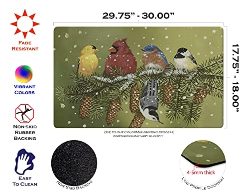 Toland Home Garden 800093 Snowy Friends Winter Door Mat 18x30 Inch Bird Outdoor Doormat For Entryway Indoor Entrance 2 Toland Home Garden 800093 Snowy Friends Winter Door Mat 18x30 Inch Bird Outdoor Doormat For Entryway Indoor Entrance - Image 2