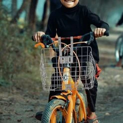 Alipis 1pc Off Mesh Bicycles Silver Lid Frame Road Front Replacement Mountain Folding Collapsible In Iron Rack Baskets Cruisers Back With Accessory Hanging Lift Handlebar Bike Container 8 Alipis 1pc Off Mesh Bicycles Silver Lid Frame Road Front Replacement Mountain Folding Collapsible In Iron Rack Baskets Cruisers Back With Accessory Hanging Lift Handlebar Bike Container -Songmics Furniture Shop 51MYMXh06rL