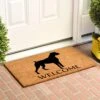 Calloway Mills AZ105581729 Boxer Doormat, 17" X 29", Natural/Black