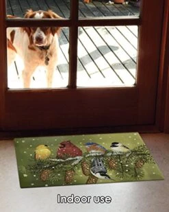 Toland Home Garden 800093 Snowy Friends Winter Door Mat 18x30 Inch Bird Outdoor Doormat For Entryway Indoor Entrance 9 Toland Home Garden 800093 Snowy Friends Winter Door Mat 18x30 Inch Bird Outdoor Doormat For Entryway Indoor Entrance -Songmics Furniture Shop 51VR0NzfPzL