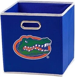 Franklin Sports NCAA College Team Fabric Storage Cubes Made To Fit Storage Bin Organizers (11x10.5x10.5) -Songmics Furniture Shop 51c4oltagZL. AC