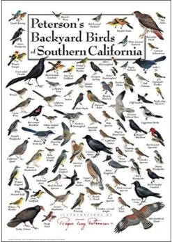 Earth Sky + Water - Peterson’s Backyard Birds Of Southern California - Double-matted Posters With Black Frame -Songmics Furniture Shop 51jaFi0aF5L. AC