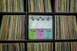 50 LP Inner Sleeves Anti Static Square Vinyl Record Sleeves 33 RPM 12" Provide Your LP Collection With The Proper Protection - Invest In Vinyl -Songmics Furniture Shop 51qvSDtJheL