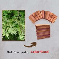 GENERIC Missouri Eastern Cedar Blocks 16 Peices Made In Missouri By Small Business 7 GENERIC Missouri Eastern Cedar Blocks 16 Peices Made In Missouri By Small Business -Songmics Furniture Shop 51wRjiPt5SL