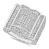 The Bling Factory Rhodium Plated Micro-Pave Iced Out Cubic Zirconia Hip Hop Ring + Microfiber Cloth